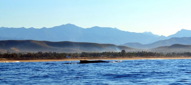 Todos Santos Perspectivas